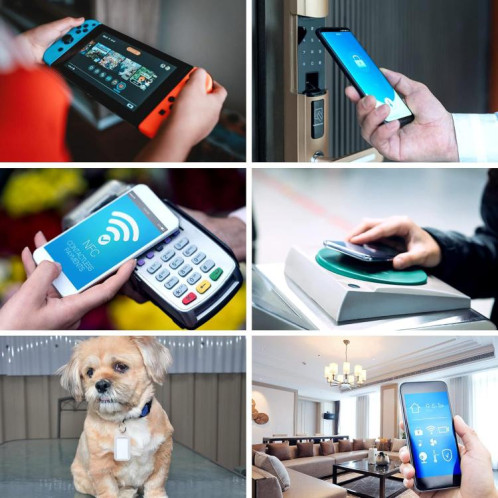 Étiquettes NFC autocollantes avec puce Fudan F08, étiquettes RFID HF, taille : 30 x 15 mm, papier couché SR52021576-06